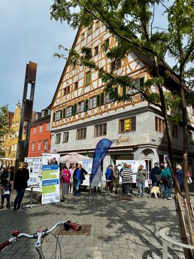 Viele Stellwände reihen sich auf vor dem Freiheitsbrunnen. Im Vordergrund des Bildes ist einer der im letzten Jahr neu gepflanzten Bäume am Weinmarkt, der an diesem sonnigen Tag bereits Schatten spendet. 
